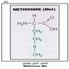 ������ ������� �������� Methionine, Met