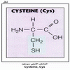 ������ ������� ������ Cysteine, Cys