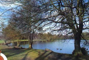 ����� ������� ��������