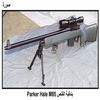 ������ ����� Parker Hale M85