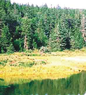 ������� ��������� ������ �� ������ ��������