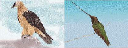 ������ ����� ������ ������