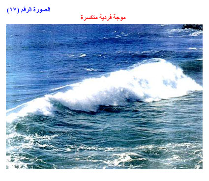 ���� ����� ������